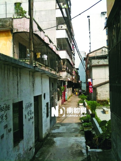 惠州18歲男子無錢給女友墮胎 將其殺死