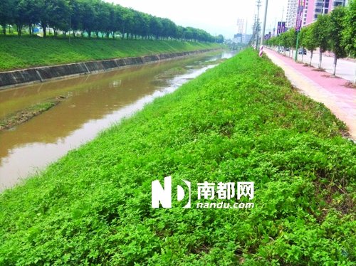 惠州18歲男子無錢給女友墮胎 將其殺死