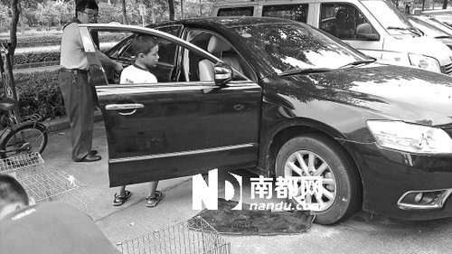 珠海29輛車停小區(qū)商鋪前 一夜被砸爛洗劫