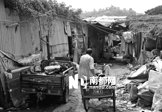 <p>    昨日下午，河南岸下馬莊南山園附近的大型廢品回收點(diǎn)內(nèi)，住在棚戶(hù)區(qū)的外來(lái)人員載著行李四處尋找新的落腳點(diǎn)。</p>