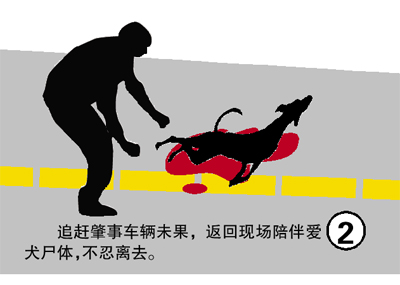 東莞男愛犬被撞死 橫坐路中被撞倒拖行致死