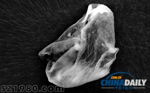 英國科學(xué)家稱大氣中發(fā)現(xiàn)外星生命惹爭議