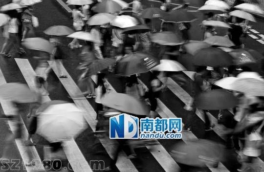<p>    22日傍晚，羅湖街頭， 天兔 帶來(lái)的風(fēng)雨正逐漸增大，行色匆匆下班的人群。 南都記者 徐文閣 攝</p>