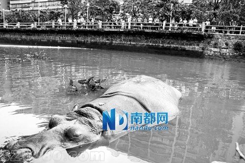 救援現(xiàn)場(chǎng)：一男警觸電昏迷 一女警執(zhí)勤犧牲