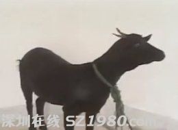 男子強奸黑山羊因獸奸罪被判刑