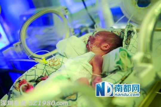 <p>    1月13日，厚街醫(yī)院新生兒科，醫(yī)生正在對被遺棄的早產龍鳳雙胞胎的女嬰上呼吸機搶救。南都記者 方光明 攝</p>