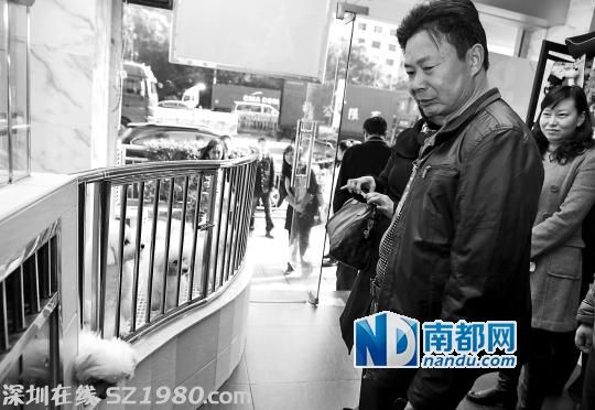 <a href=http://www.thesurfingworld.com/shenzhen/ target=_blank class=infotextkey>深圳</a>城管局建議取消每年300元養(yǎng)犬管理費