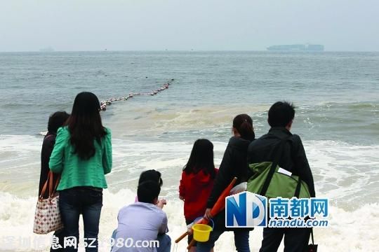 <a href=http://www.thesurfingworld.com/shenzhen/ target=_blank class=infotextkey>深圳</a>大梅沙漂浮大量暗黃色浮游植物