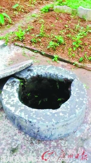 廣州水井暴雨后突變 溫泉  井水發(fā)熱冒煙