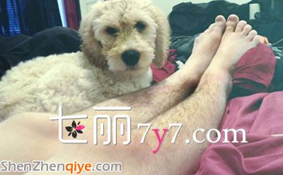 歐美女性掀起瘋狂曬體毛活動  網(wǎng)友紛紛曬腿毛照稱：真好