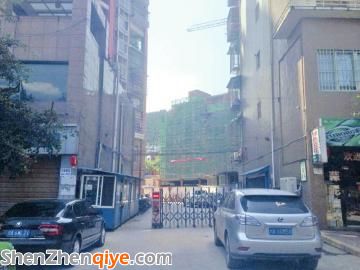 事發(fā)的瀘州古藺縣雙水岸小區(qū)。