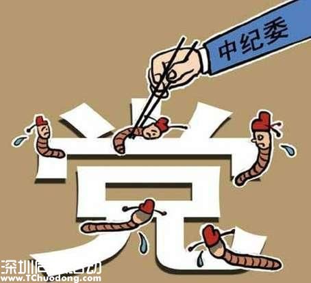 王岐山政協(xié)報(bào)告?zhèn)鬟f5個(gè)信號(hào) 反腐就是求細(xì)求實(shí)