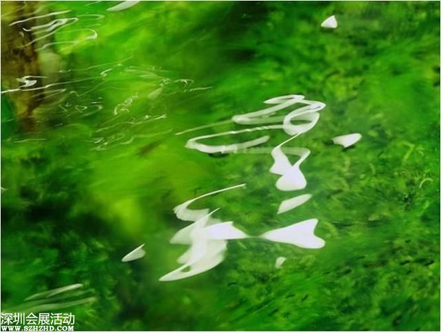 中紀(jì)委：河南省人大常委會(huì)副主任秦玉海被調(diào)查