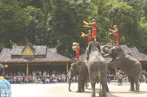 西雙版納旅游協(xié)會被指 蹲點 收 人頭費 