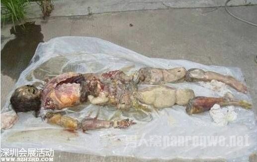 上海大學腐尸 是他殺還是自殺