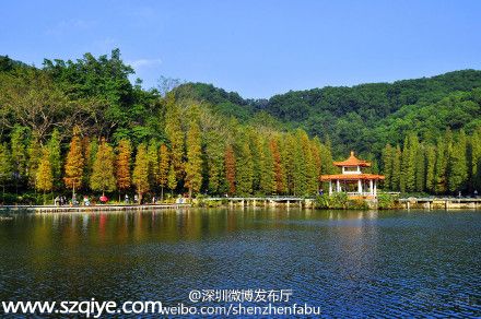 元宵節(jié)仙湖植物園交通管制 私家車禁止進入