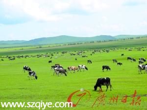 國(guó)際奶源充足低價(jià)奶橫行 乳企難躺著賺錢