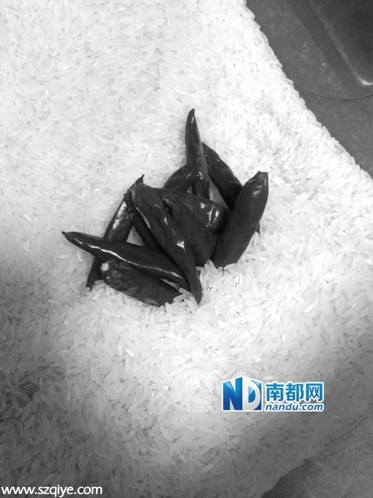 防潮利器哪個強(qiáng)：鹽水拖地不如報紙石灰