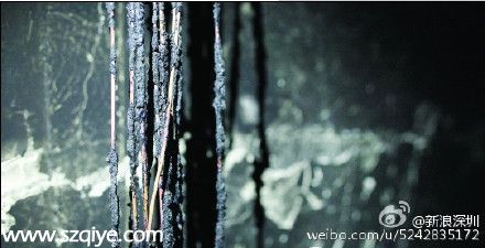 南山一家9口疑遭人故意縱火 7人留院觀察