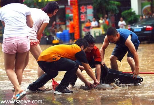東莞降暴雨街道一片汪洋 市民街頭抓魚