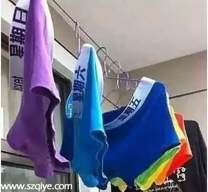 2015已過一半 據(jù)說深圳人都在忙這些事