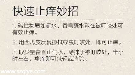 深圳登革熱高發(fā)季殺到 預(yù)防寶典趕快收藏！