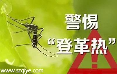 <a href=http://www.sz1980.com/shenzhen/ target=_blank class=infotextkey>深圳</a>登革熱高發(fā)季殺到 預(yù)防寶典趕快收藏！