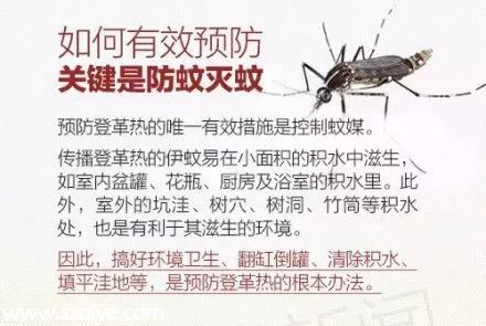 深圳登革熱高發(fā)季殺到 預(yù)防寶典趕快收藏！