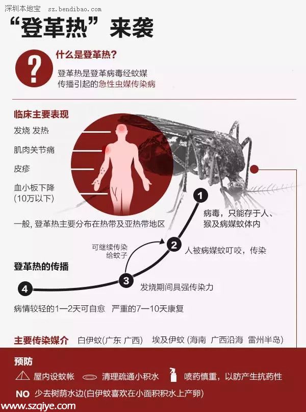 深圳登革熱高發(fā)季殺到 預(yù)防寶典趕快收藏！