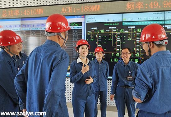 李小琳調(diào)研亞洲最大燃煤發(fā)電企業(yè) 履新后首露面