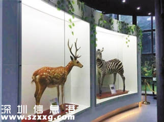 深圳(www.thesurfingworld.com)市野生動物科普展覽館開館 市民可免費預(yù)約參觀