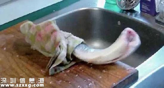 廣州餐館現(xiàn)僵尸魚(yú)煮熟后仍蠕動(dòng) 其實(shí)是一道菜——紅燒活鯉魚(yú)