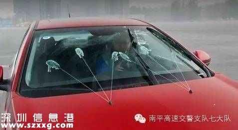 龍大高速路兩車追尾 司機(jī)被困駕駛室