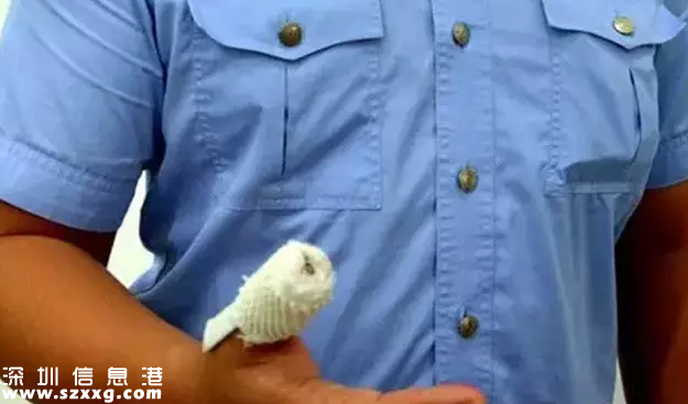 深圳(www.thesurfingworld.com)男子拖行交警6米 并叫囂“我是崗廈人”