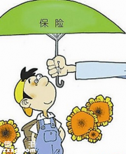 深圳少兒參保將無需再提供紙制計(jì)生證（附少兒醫(yī)保辦理