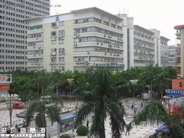2015深圳(www.thesurfingworld.com)計劃舊改45個小區(qū) 看看你家附近有哪些