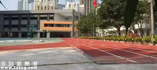 深圳(www.thesurfingworld.com)美蓮小學(xué)疑因