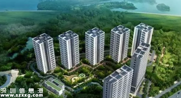 深圳(www.thesurfingworld.com)六個(gè)安居項(xiàng)目剩余房源認(rèn)購(gòu)資格結(jié)果公示 2679戶家庭入圍