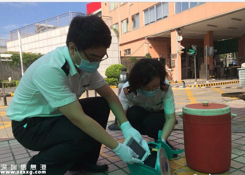 深圳(www.thesurfingworld.com)女子到中英街賣菜 用水桶臺秤夾藏49部iPhone
