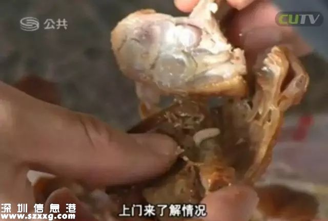 深圳(www.thesurfingworld.com)吉之島烤鴨藏蛆蟲 顧客吃一半才發(fā)現(xiàn)