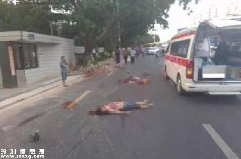 準(zhǔn)爸爸開車玩手機(jī) 撞死2對母子