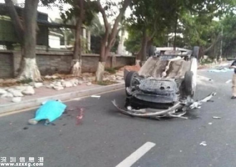 準(zhǔn)爸爸開車玩手機(jī) 撞死2對母子