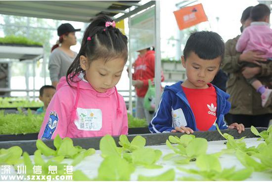 (親子活動現(xiàn)場的小朋友)