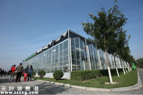 (漂亮的安全蔬菜種植溫室)