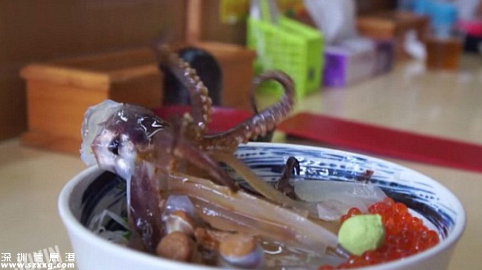 會(huì)跳舞的魷魚(yú)蓋澆飯走紅網(wǎng)絡(luò)
