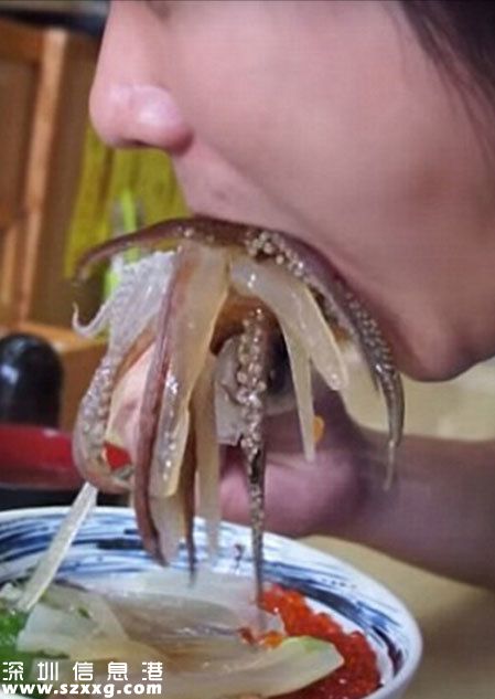 會(huì)跳舞的魷魚(yú)蓋澆飯走紅網(wǎng)絡(luò)