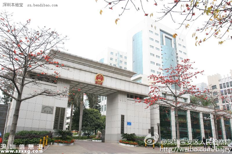 寶安民生：20%財(cái)政投入教育、打通28條斷頭路