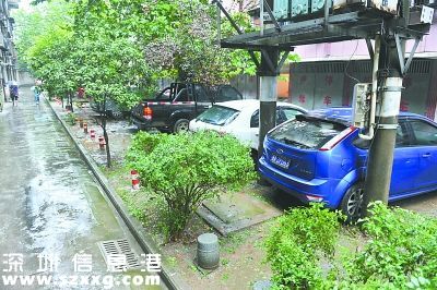 福田絨花路綠化帶收費(fèi)停車場(chǎng) 白天收費(fèi)系保安個(gè)人行為