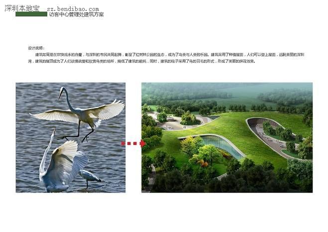 深圳(www.thesurfingworld.com)紅樹林生態(tài)公園將開園 提前看公園有什么好玩的