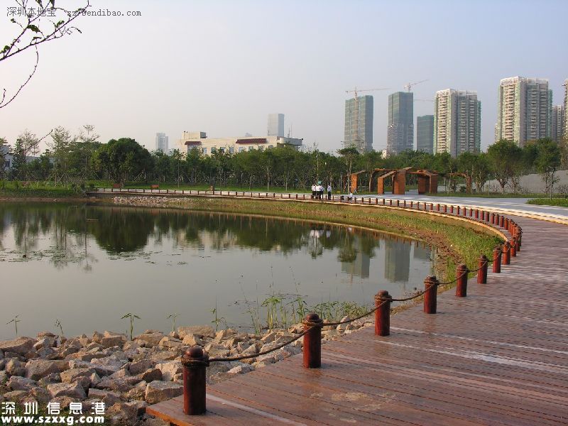 深圳(www.thesurfingworld.com)紅樹林生態(tài)公園將開園 提前看公園有什么好玩的